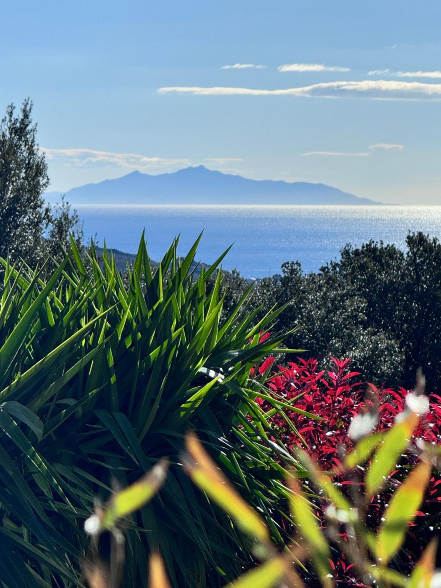 Gite Independant Dans Villa Entre Mer Et Maquis Sisco ภายนอก รูปภาพ